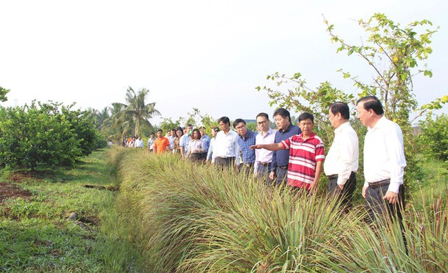 Học kỳ làm nông thúc đẩy du lịch nông nghiệp - Ảnh 3.