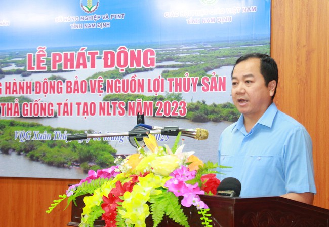 Nam Định: Thả 1 triệu con giống thủy sản xuống sông Hồng nhằm tái tạo nguồn lợi thủy sản - Ảnh 1.