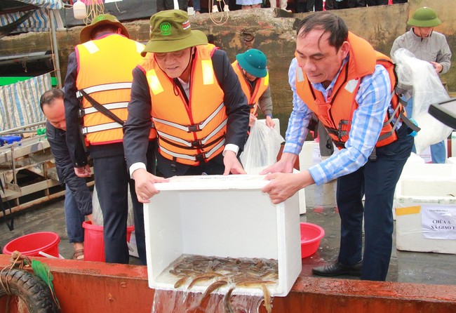 Nam Định: Thả 1 triệu con giống thủy sản xuống sông Hồng nhằm tái tạo nguồn lợi thủy sản - Ảnh 2.