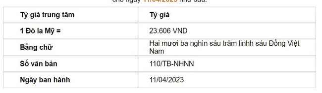 Tỷ giá USD hôm nay 11/4: Đồng USD đã tăng trở lại mốc 102 - Ảnh 2.