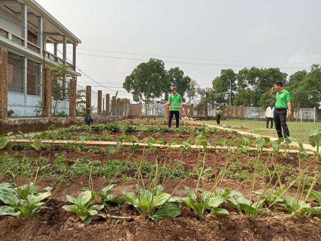 TT-Huế: Hội Nông dân xây dựng “vườn rau của bé” tại 2 trường mầm non  - Ảnh 1.