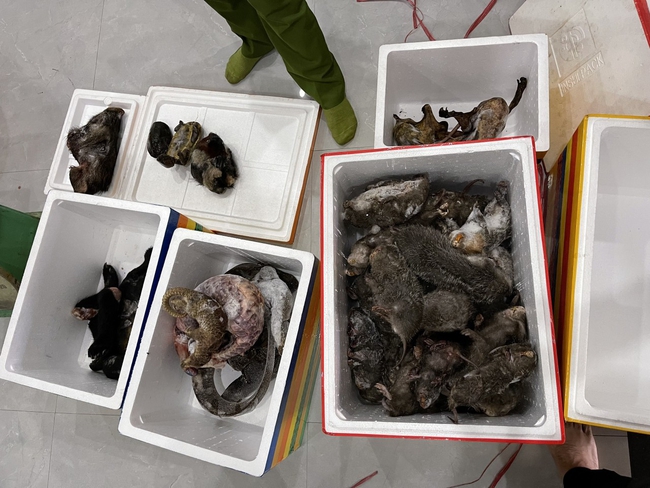Đánh sập tụ điểm tàng trữ hàng chục cá thể động vật hoang dã ở Thừa Thiên Huế - Ảnh 3.