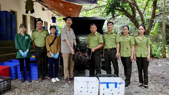 Vườn quốc gia Cúc Phương tiếp nhận 91 cá thể rùa Sa nhân từ tỉnh Lạng sơn - Ảnh 1.