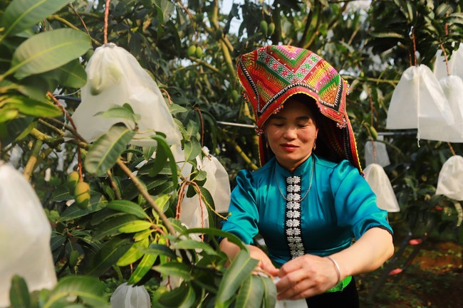 Lần đầu tiên có một giải báo  chí toàn diện dành cho nông nghiệp, nông  dân, nông thôn  - Ảnh 4.