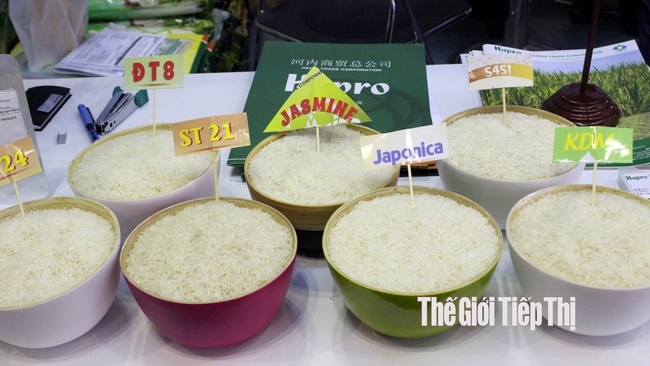 Tỷ lệ gạo thơm, gạo nếp ngày càng gia tăng trị giá xuất khẩu. Ảnh: Trần Khánh