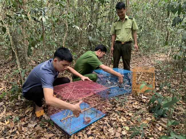 Hàng trăm cá thể động vật quý hiếm bị nhốt tại nhà hàng, quán ăn được thả về thiên nhiên - Ảnh 1.