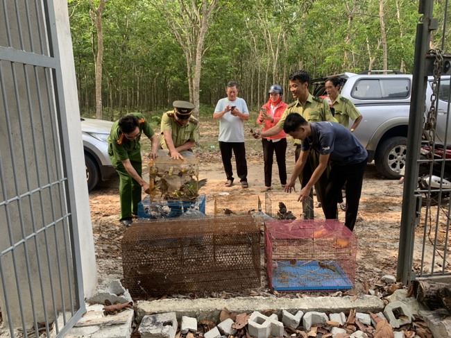 Hàng trăm cá thể động vật quý hiếm bị nhốt tại nhà hàng, quán ăn được thả về thiên nhiên - Ảnh 2.