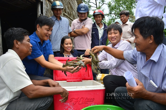 gop/Quy hoạch vùng nuôi, tạo “đột phá” cho mô hình tôm - lúa  - Ảnh 1.