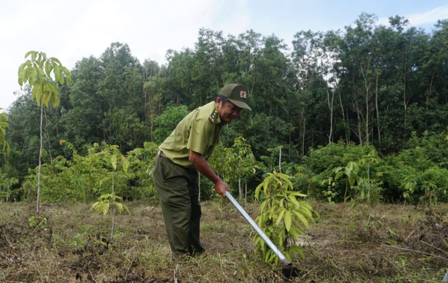 Đồng Nai: Tổ chức lại Quỹ Bảo vệ và phát triển rừng - Ảnh 2.