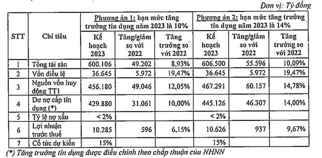 SHB dự trình kế hoạch lãi đạt trên 10.000 tỷ đồng, trả cổ tức 2022 tỷ lệ 18% - Ảnh 1.