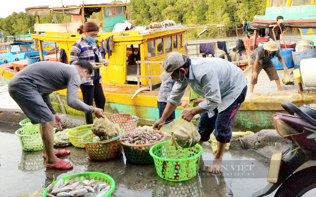 Ngư dân khai thác thủy hải sản trên vùng biển Cần Giờ, TP.HCM. Ảnh: Trần Khánh