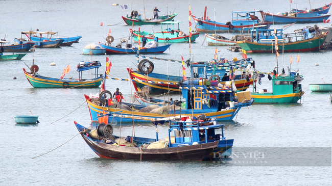 Tàu đánh bắt cá của ngư dân tỉnh Bà Rịa-Vũng Tàu. Ảnh: Trần Khánh