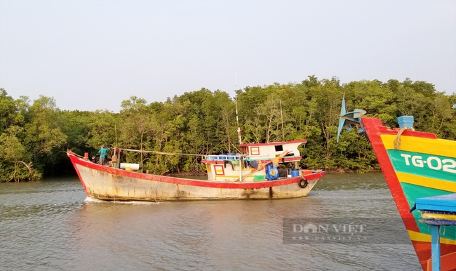 Ngư dân Cần Giờ (TP.HCM) mong nhận thêm các hỗ trợ thiết thực để tiếp tục đưa tàu vươn khơi bám biển. Ảnh: Trần Khánh