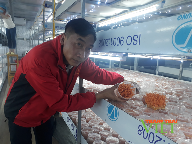 Lai Châu nâng chất sản phẩm OCOP - Ảnh 2.