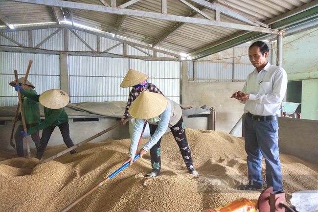 Hoạt động đa lĩnh vực, tạo việc làm cho hàng chục lao động một hợp tác xã ở Quảng Nam được tôn vinh - Ảnh 2.