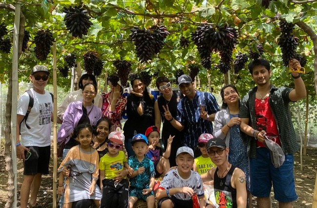 Du lịch Ninh Thuận hút khách dịp nghỉ lễ 30/4 và 1/5 - Ảnh 3.
