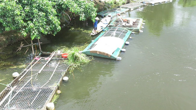 Thừa Thiên Huế: Giúp hội viên, nông dân phát triển nuôi cá lồng bền vững  - Ảnh 2.