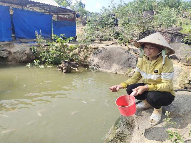 Nữ nông dân Hre ở Bình Định thoát nghèo nhờ mô hình VAC - Ảnh 2.