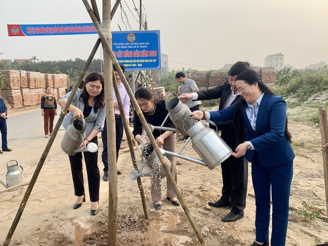 Làng quê Hà Nội thêm đẹp nhờ những “hàng cây, đường hoa nông  dân” - Ảnh 2.