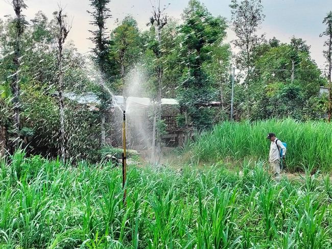 Công suất cấp nước sạch nông thôn chỉ đạt 48% so với thiết kế, Đồng Nai tìm cách tăng tỷ lệ cấp nước - Ảnh 7.