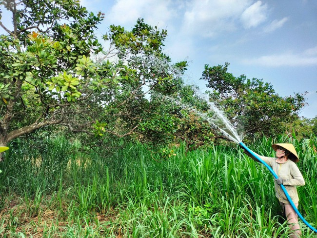 Công suất cấp nước sạch nông thôn chỉ đạt 48% so với thiết kế, Đồng Nai tìm cách tăng tỷ lệ cấp nước - Ảnh 3.