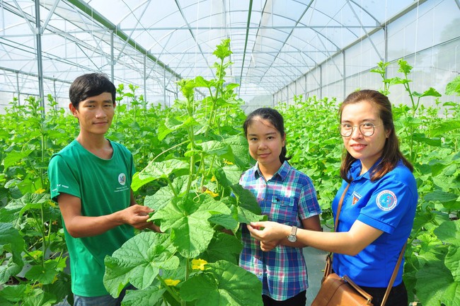 Thừa Thiên Huế triển khai chương tình hỗ trợ thanh niên khởi nghiệp  - Ảnh 1.