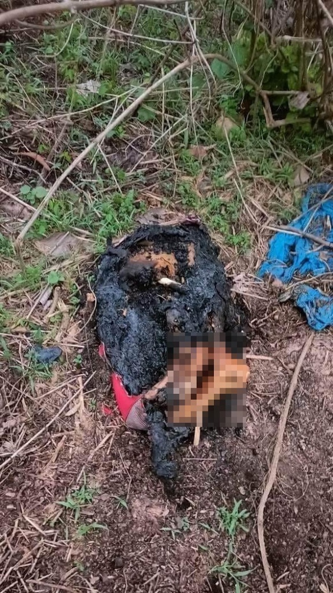 Bộ Công an vào cuộc điều tra vụ 1 phần thi thể người phụ nữ bị đốt cháy ở Bình Dương - Ảnh 1.
