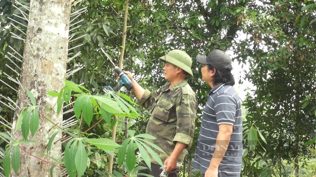 Cao nhân &quot;bắt mạch&quot; trầm hương ở Bắc Kạn trải lòng về thứ thuốc lạ - Ảnh 2.