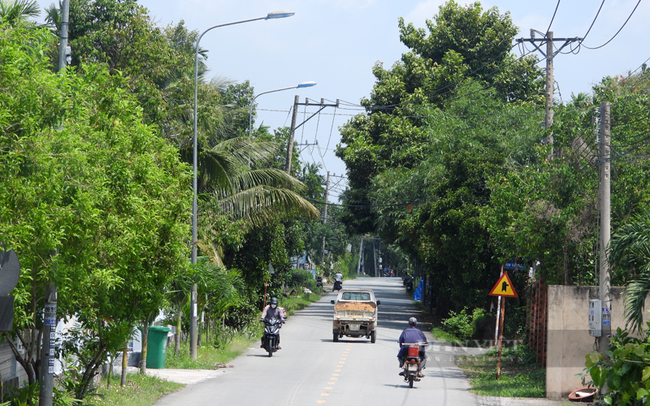 Con đường tráng nhựa phẳng lì đi ngang qua những vườn cây xanh mướt của xã An Sơn, TP.Thuận An. Ảnh: Nguyên Vỹ