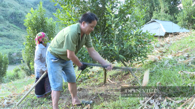 Đào tạo nghề cho lao động nông thôn ở Lai Châu, một giải pháp căn cơ để giảm nghèo - Ảnh 2.
