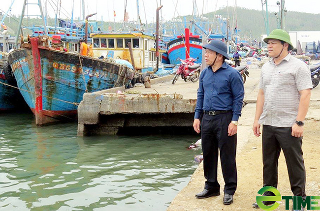 Quảng Ngãi: Đầu tư 250 tỷ làm đê chắn cát, nạo vét luồng cảng cá Sa Huỳnh  - Ảnh 3.