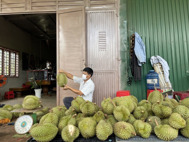 Tìm cách khơi thông thị trường xuất khẩu - Ảnh 1.