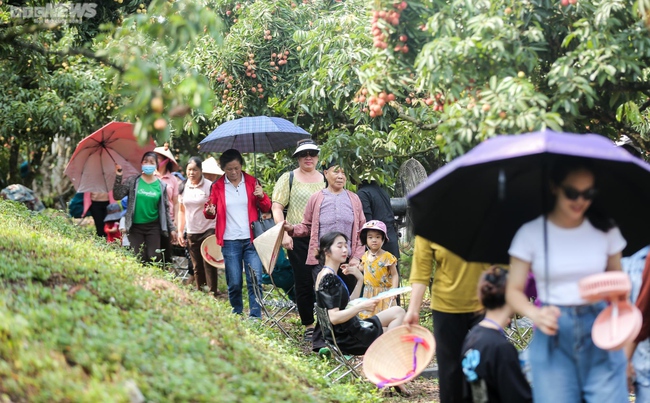 Nông sản vươn xa nhờ biết “tự làm mới  mình” - Ảnh 1.