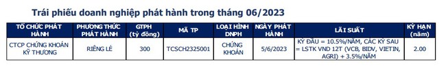 Đã có 1 đợt phát hành trái phiếu doanh nghiệp trong tháng 6/2023 với giá trị 300 tỷ đồng - Ảnh 1.