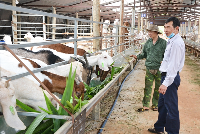 gop/Chăn nuôi con đặc sản theo hướng hữu cơ: Lối ra cho nông hộ - Ảnh 1.