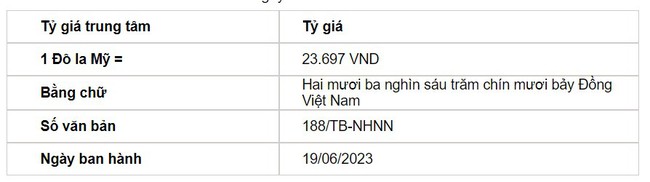 Tỷ giá USD hôm nay 19/6: Ngân hàng nhà nước bất ngờ giảm mạnh tỷ giá trung tâm - Ảnh 2.