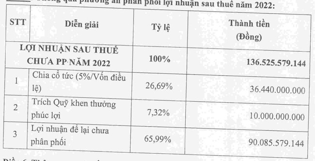 Nhựa Hà Nội (NHH) chốt ngày trả cổ tức năm 2022 bằng tiền, tỷ lệ 5% - Ảnh 1.