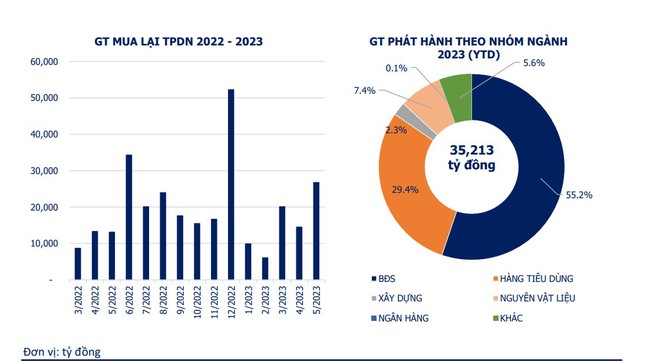 Đã có 2 đợt phát hành trái phiếu vào nửa tháng 6/2023 với tổng giá trị 600 tỷ đồng - Ảnh 2.