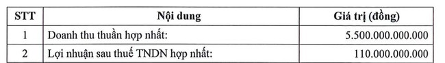 Xuất nhập khẩu Việt Phát (VPG) chốt ngày trả nốt cổ tức 2022 bằng tiền và cổ phiếu - Ảnh 3.