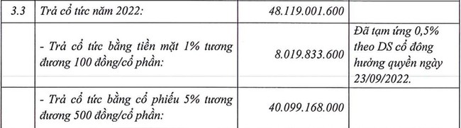 Xuất nhập khẩu Việt Phát (VPG) chốt ngày trả nốt cổ tức 2022 bằng tiền và cổ phiếu - Ảnh 1.