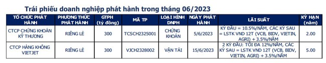 Đã có 2 đợt phát hành trái phiếu vào nửa tháng 6/2023 với tổng giá trị 600 tỷ đồng - Ảnh 1.