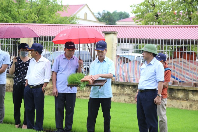 Giải pháp nào để chống thất thoát 3,2 triệu tấn lúa/năm do thiếu máy móc? - Ảnh 3.