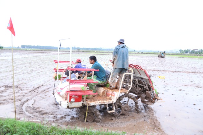 Giải pháp nào để chống thất thoát 3,2 triệu tấn lúa/năm do thiếu máy móc? - Ảnh 2.