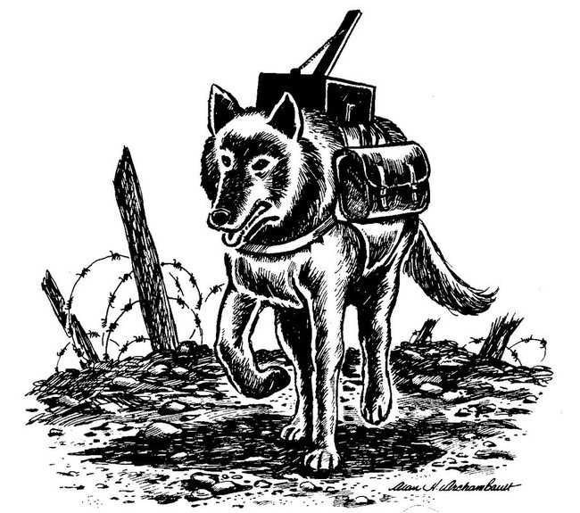 Bí mật “chiến binh” chó cảm tử của Liên Xô trong Thế chiến 2 - Ảnh 5.