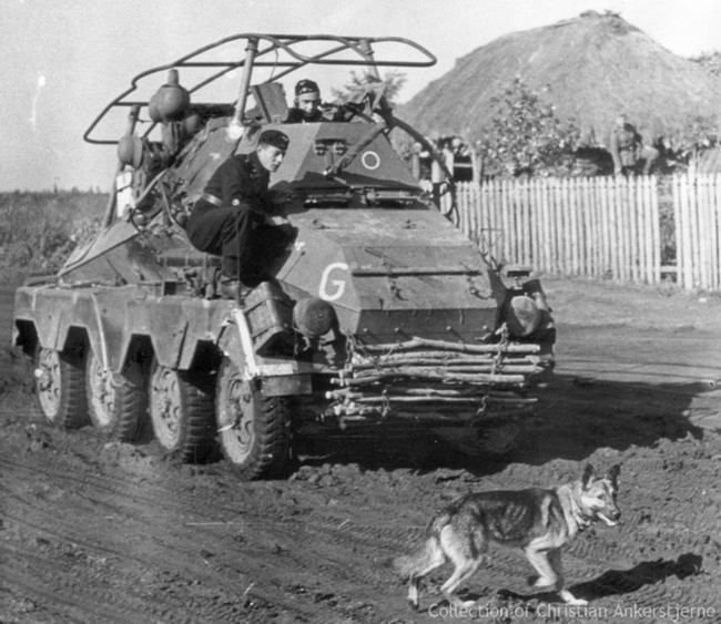 Bí mật “chiến binh” chó cảm tử của Liên Xô trong Thế chiến 2 - Ảnh 10.