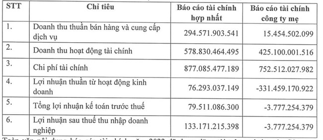 ĐHĐCĐ Đầu tư IPA: Lên kế hoạch lợi nhuận tăng trưởng đột phá, không trả cổ tức 2022 - Ảnh 1.