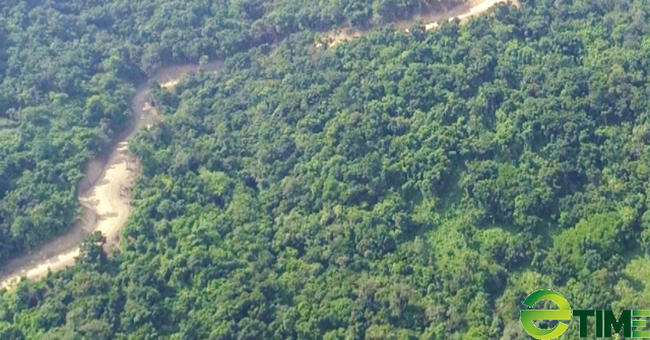 Quảng Ngãi được đầu tư gần 115 tỷ thực hiện dự án rừng Kfw9, giai đoạn 1 - Ảnh 1.