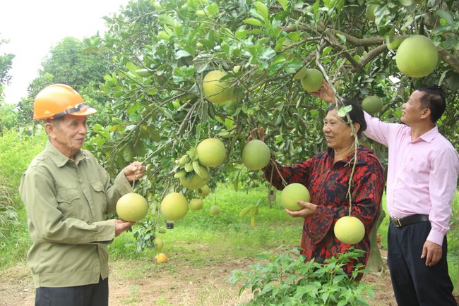 Điểm tựa tín dụng đưa Nam Đàn tiến đến nông thôn mới kiểu mẫu - Ảnh 1.