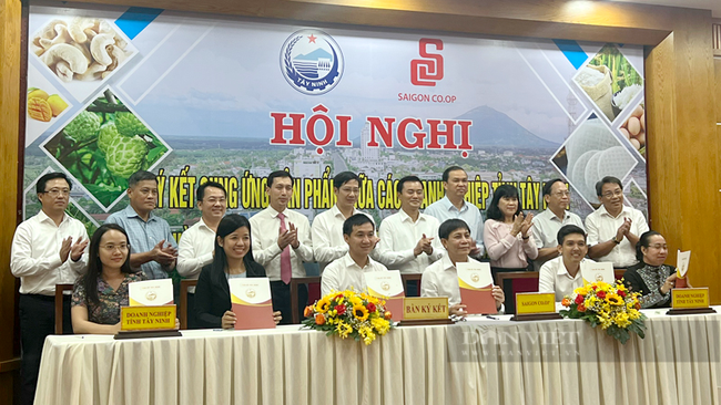 Hội nghị ký kết cung ứng sản phẩm giữa các doanh nghiệp tỉnh Tây Ninh và Liên hiệp Hợp tác xã Thương mại TP.HCM (Saigon Co.op) tại Tây Ninh. Ảnh: Trần Khánh