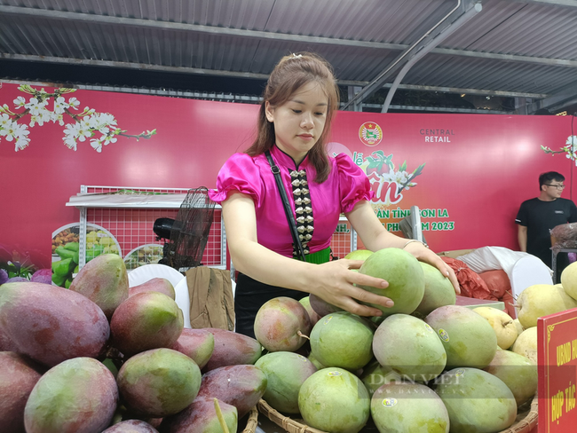 “Mận ngon nhất trong các loại mận” giá 130.000 đồng/kg vẫn cháy hàng - Ảnh 4.